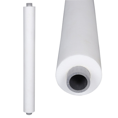 Vendita a caldo Materiale di schiuma personalizzato PVA Assorbente Sponge Rollers Spazzola